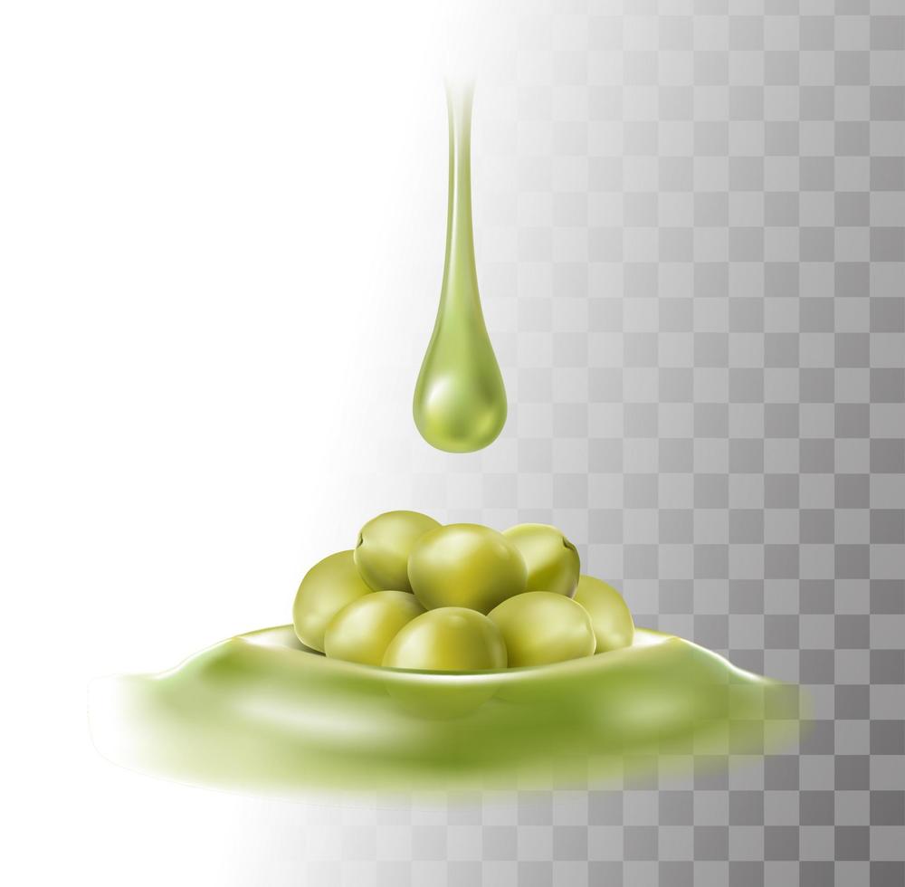 Ícone de vetor realista 3D. gota de azeite. azeitonas verdes.