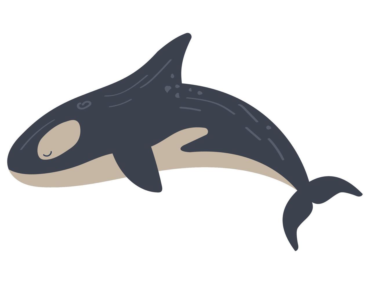 baleia assassina vida marinha animal vetor