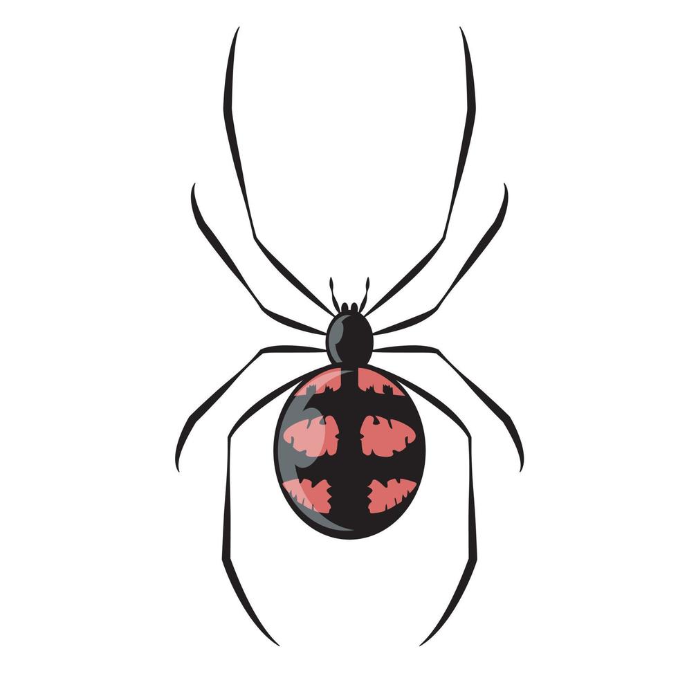 aranha preta e vermelha, close-up de aranha, grande aranha assustadora isolada em branco, inseto venenoso, fundo de aracnofobia, ícone vetorial de aranha vetor