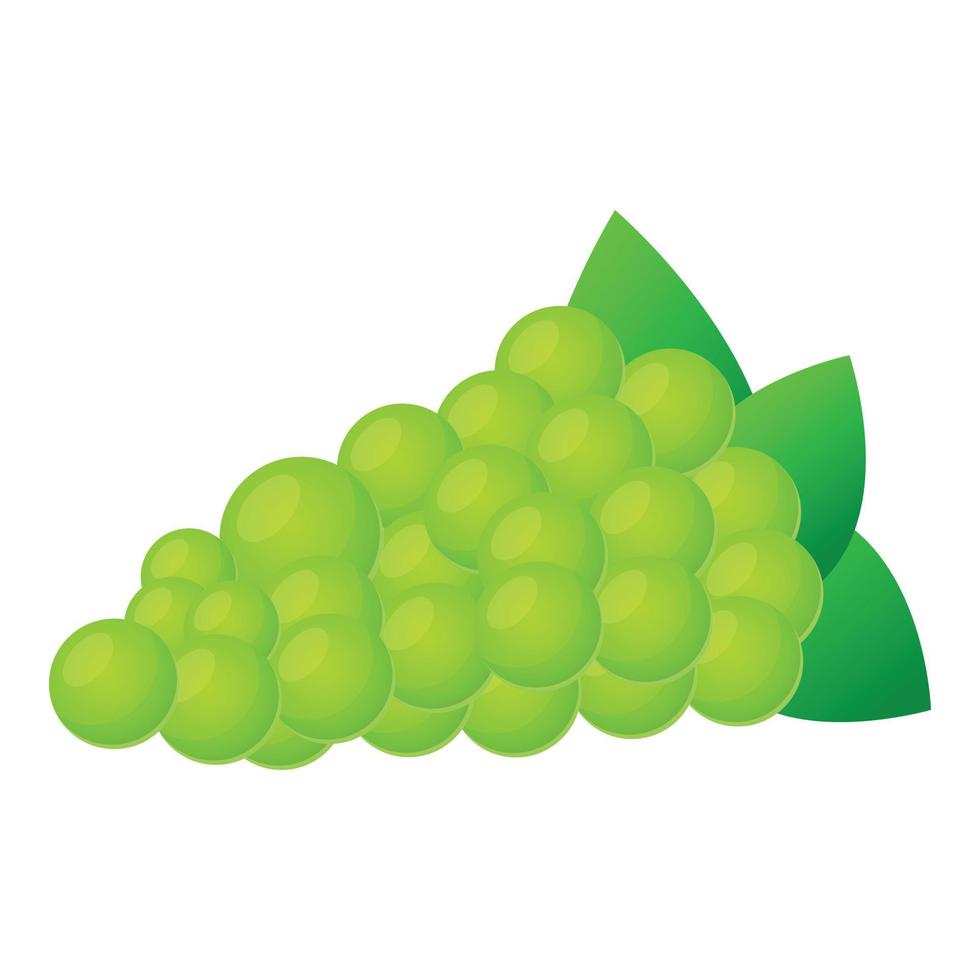 ícone de uvas verdes, estilo cartoon vetor