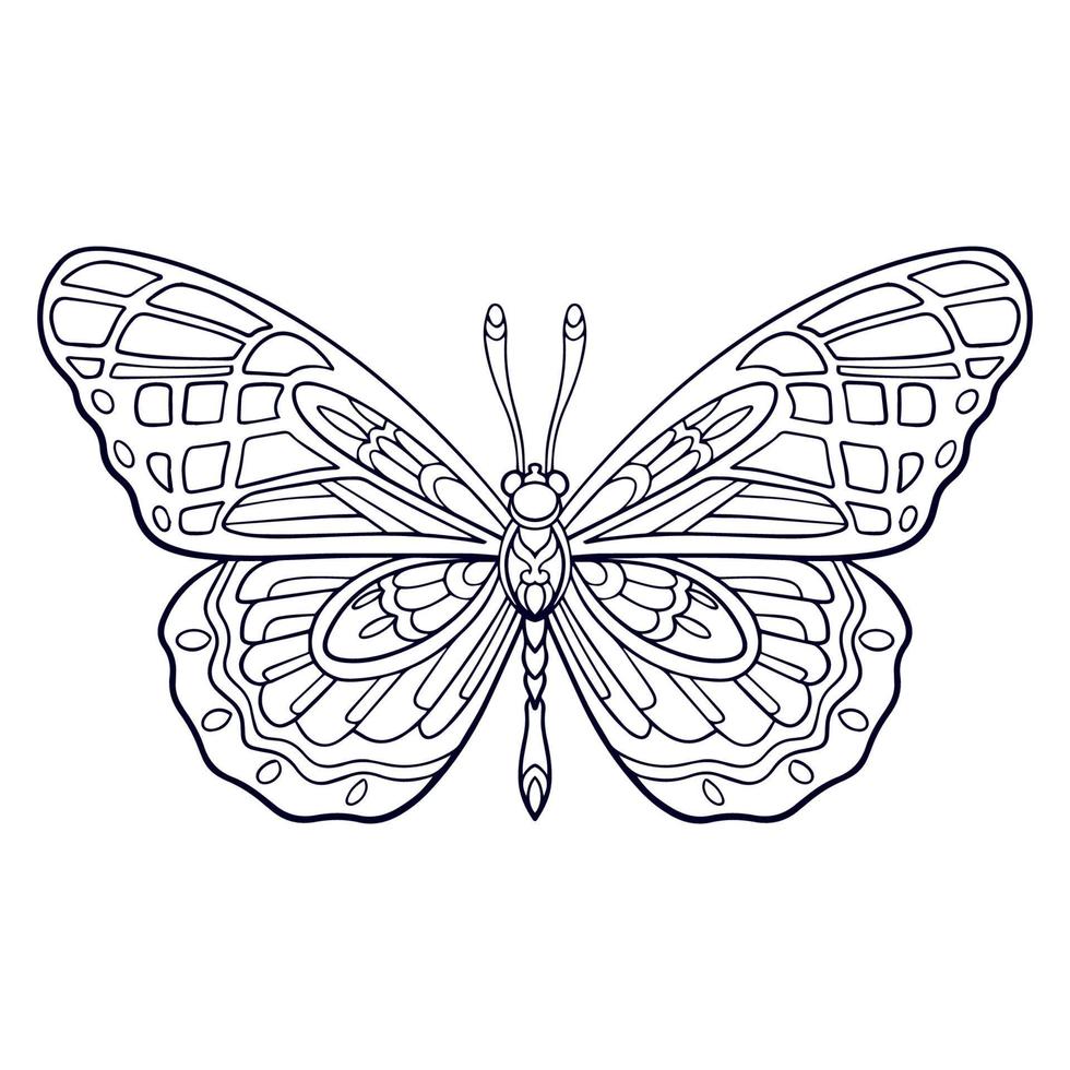 belas artes de mandala de borboleta isoladas no fundo branco vetor
