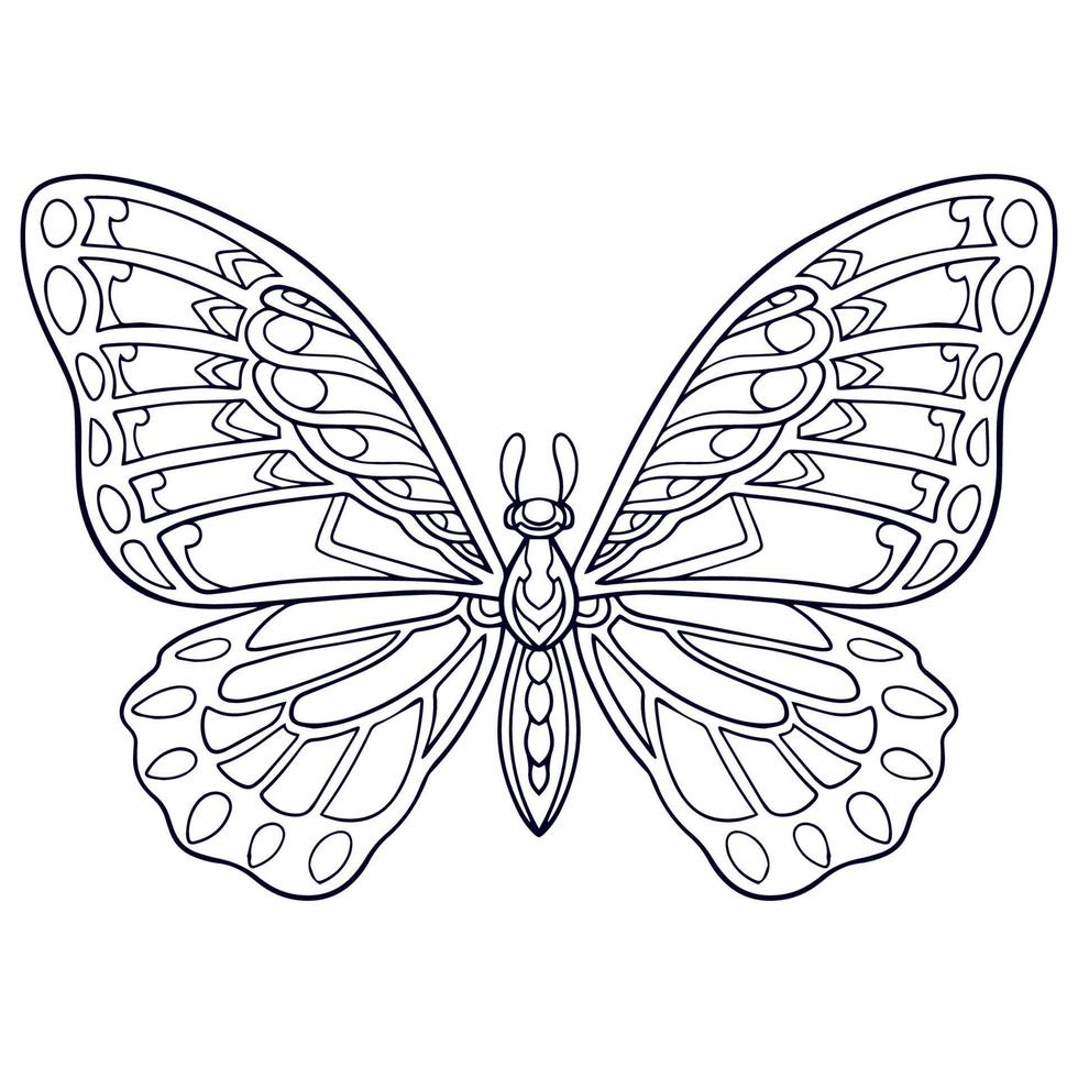 belas artes de mandala de borboleta isoladas no fundo branco vetor