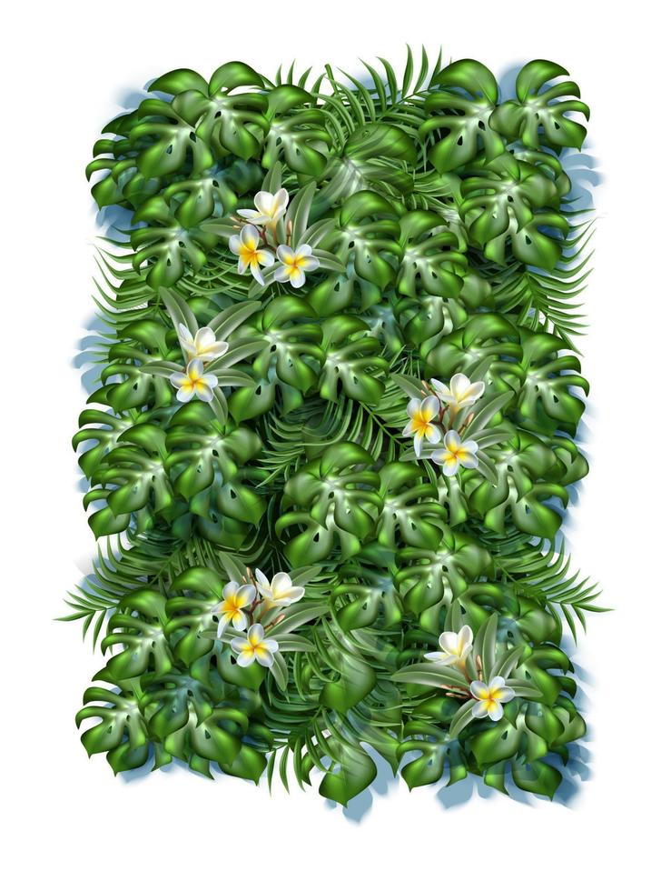 Fundo de folhas tropicais realistas 3d com flores de frangipani. vetor