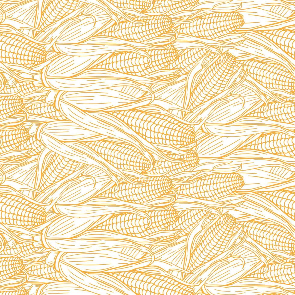 milho, padrão de milho. design de milho desenhado à mão. fundo de cor. ilustração vetorial. espiga de milho mão desenhada ilustração vetorial. vetor