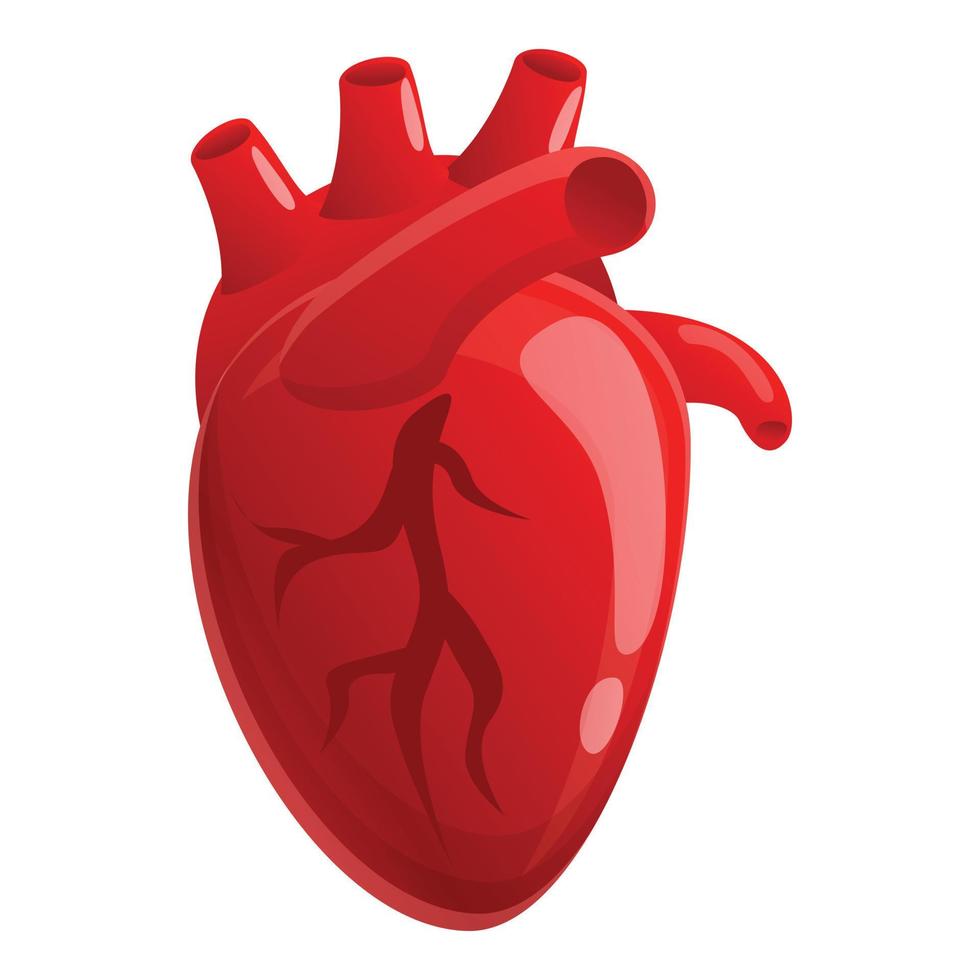 ícone do músculo coração humano, estilo cartoon vetor