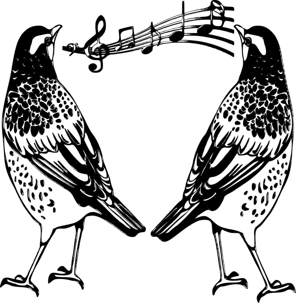 dois pássaros cantam vetor