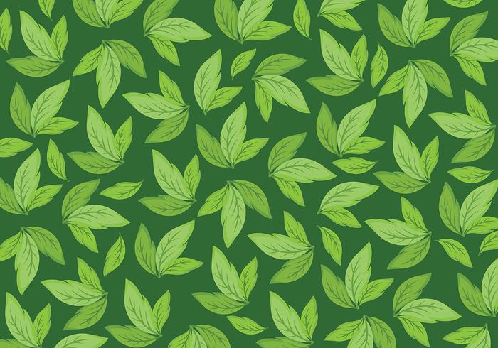 Background livre Vector Daun