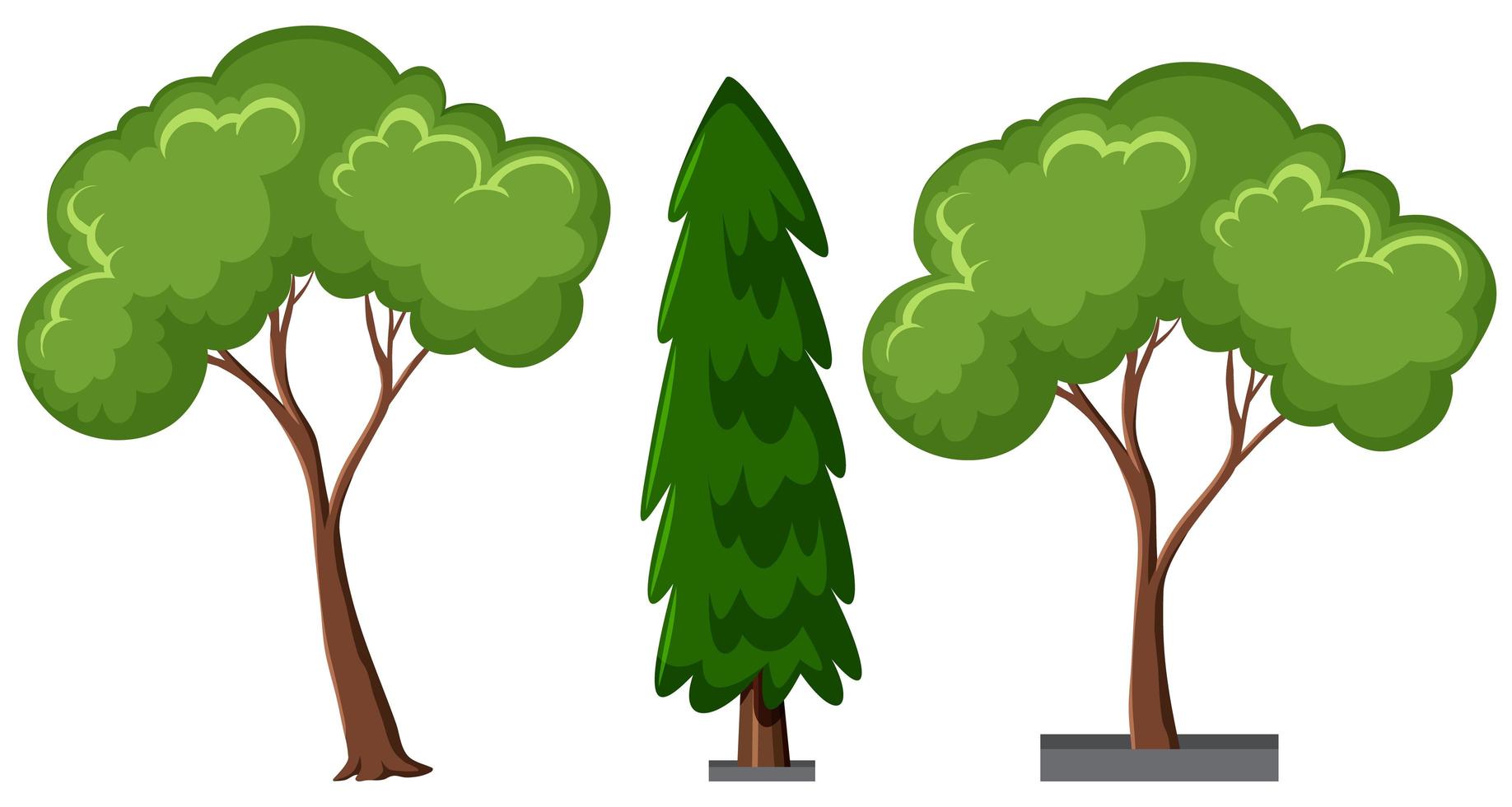 conjunto de diferentes árvores isoladas no fundo branco vetor