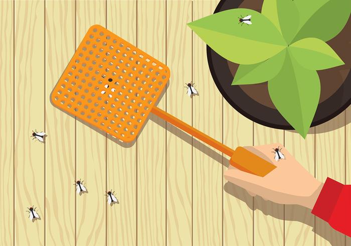 Fly Vector Swatter gratuito