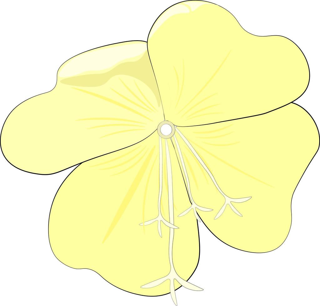 flor amarela isolada no branco vetor