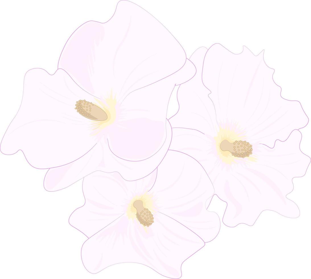 flor rosa isolada no branco vetor