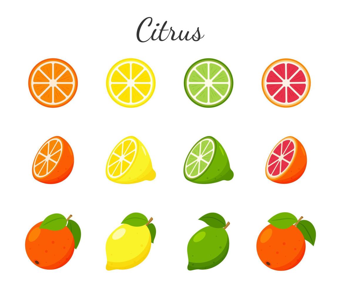 et de frutas e ícones cítricos. laranja, toranja, lima e limão. fruta inteira, metade cortada e fatias. coleção em um design plano. ilustração em vetor cor isolada em um fundo branco.