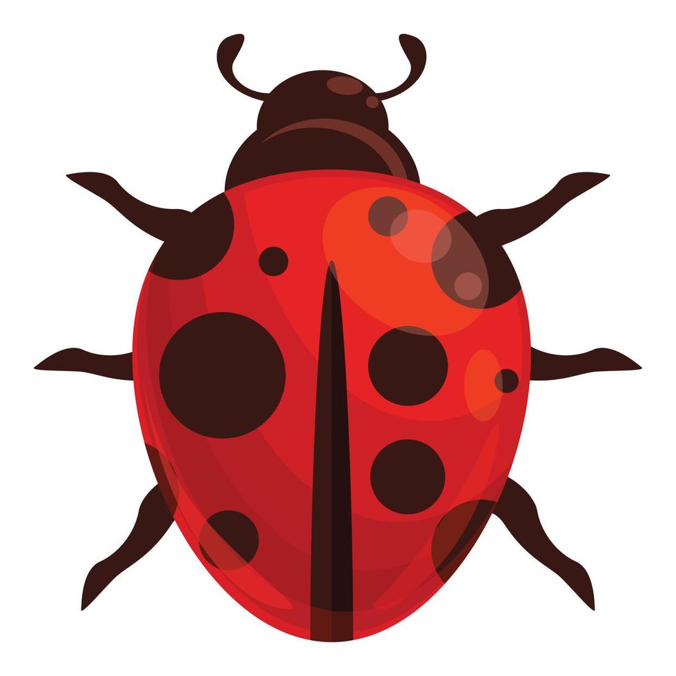 vetor de desenhos animados de ícone de inseto joaninha. erro de primavera