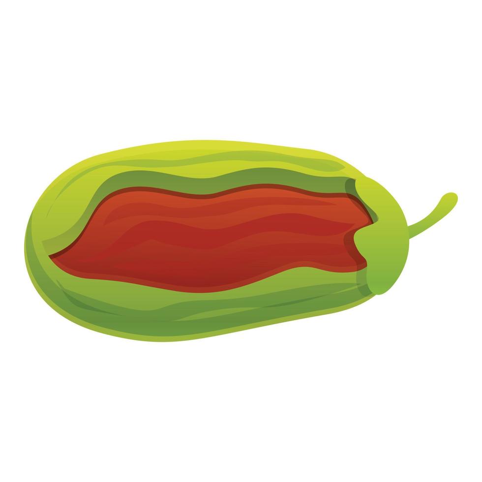 ícone de semente tropical de jojoba, estilo cartoon vetor