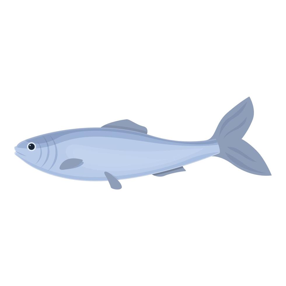 vetor de desenhos animados de ícone de sardinha do mar. peixe arenque