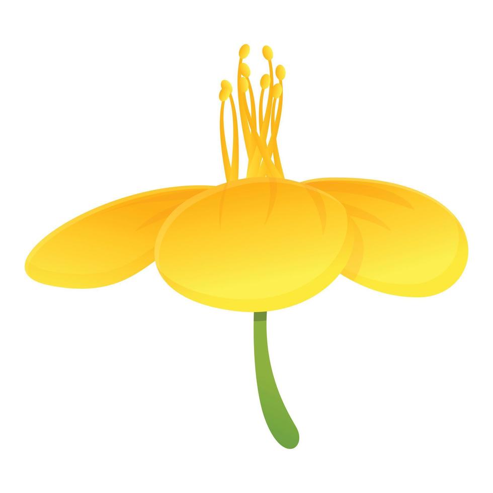 ícone da flor da natureza celidônia, estilo cartoon vetor