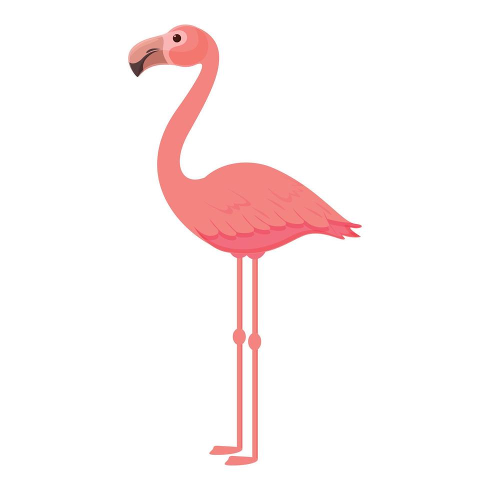 vetor de desenhos animados de ícone de flamingo de penas. flamingo de verão
