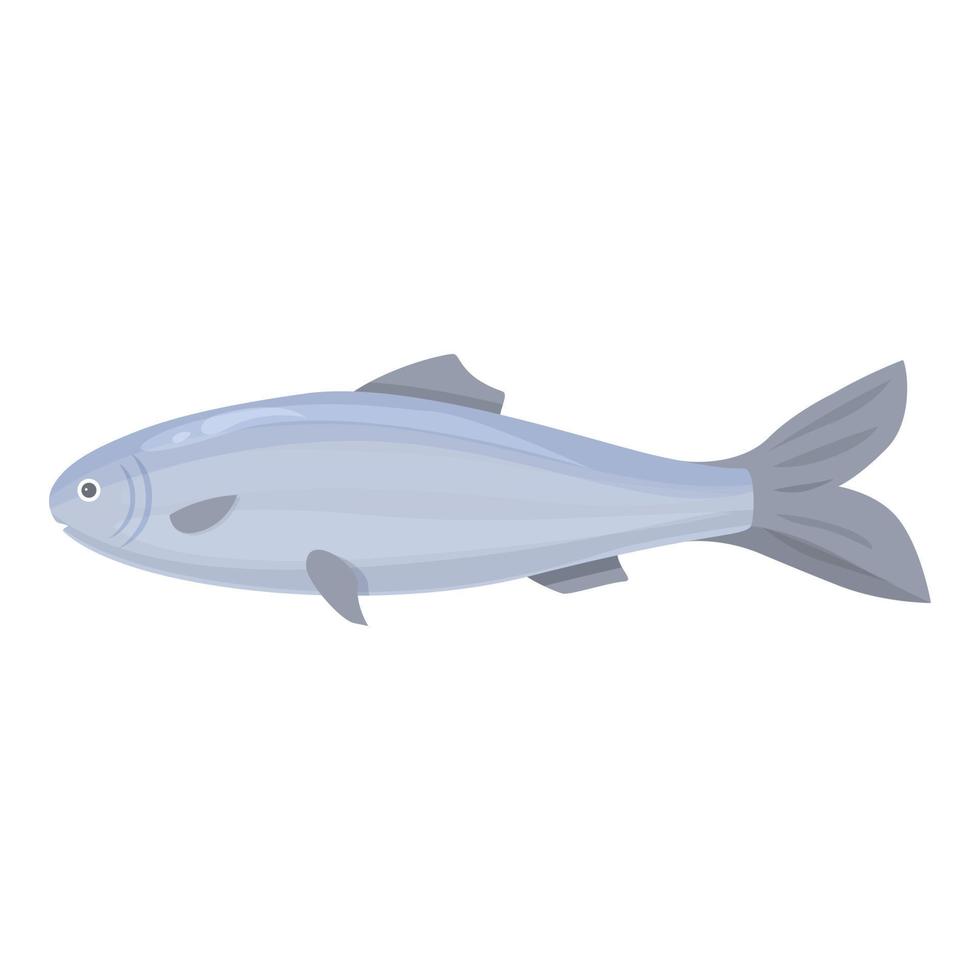 vetor de desenhos animados do ícone de arenque báltico. peixe de mar