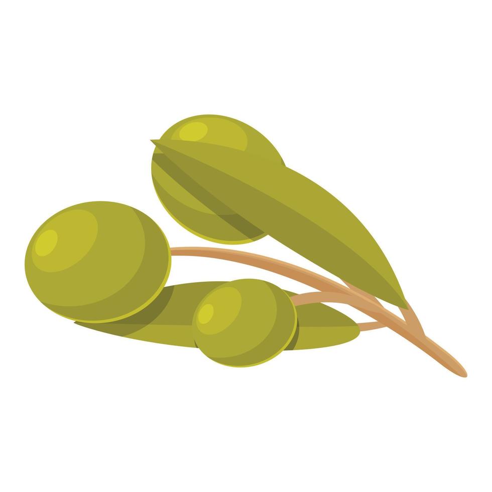 vetor de desenhos animados de ícone de azeitonas verdes. comida azeitona