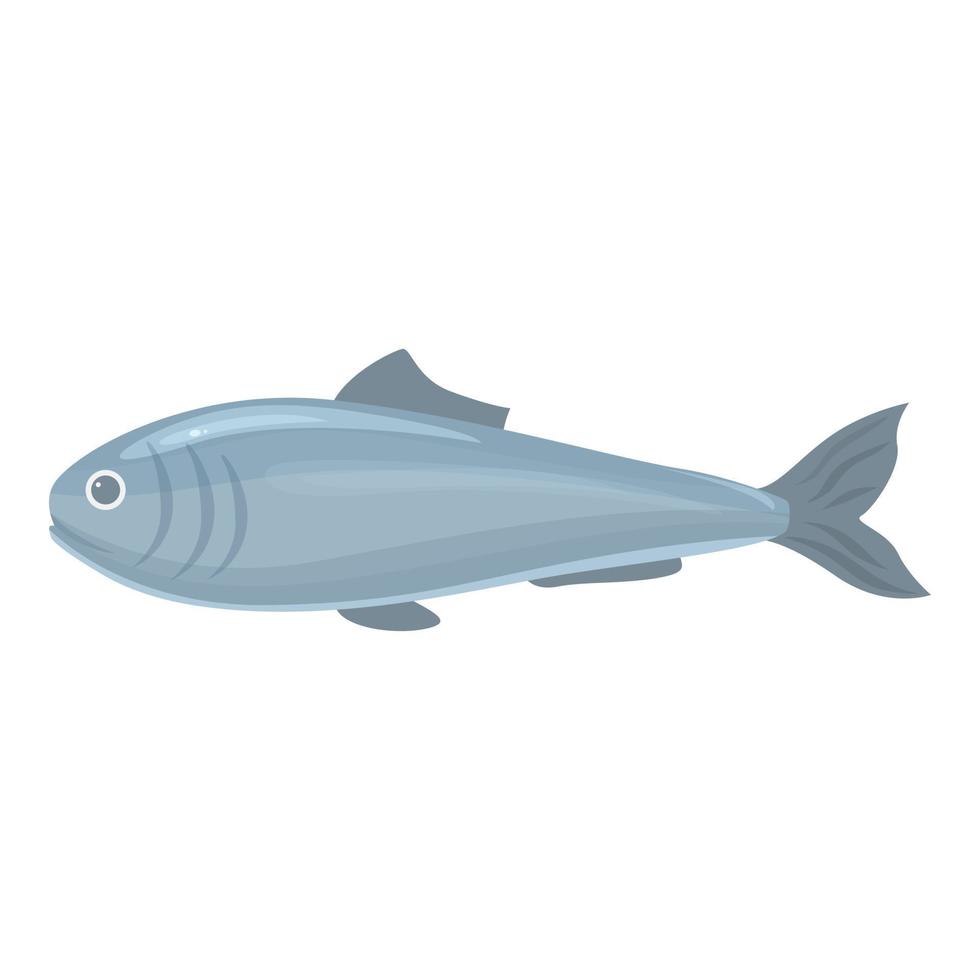 vetor de desenhos animados do ícone de arenque do mar. peixe báltico