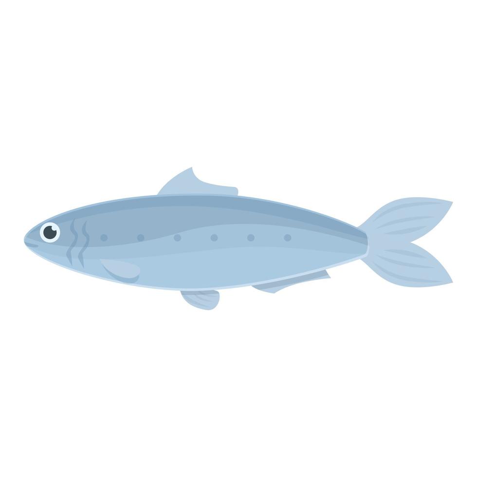 vetor de desenhos animados de ícone de anchova. peixe sardinha