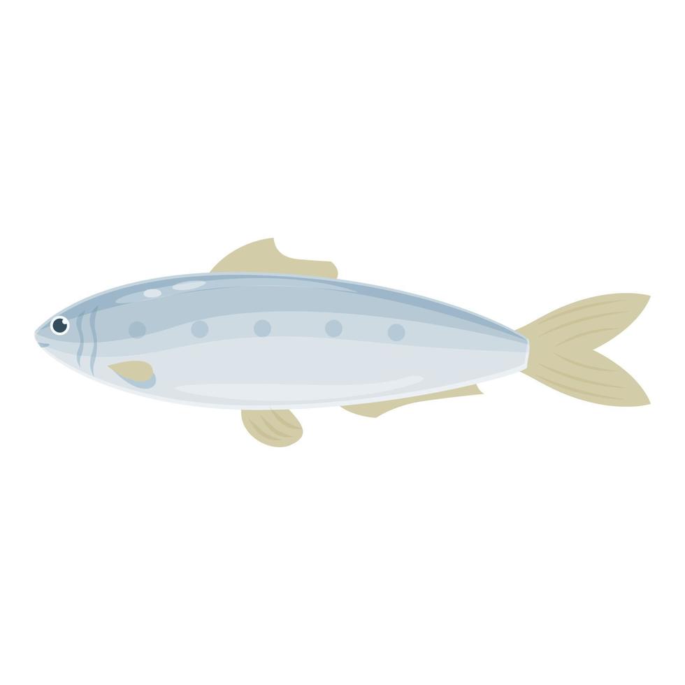 vetor de desenhos animados de ícone de arenque. peixe sardinha