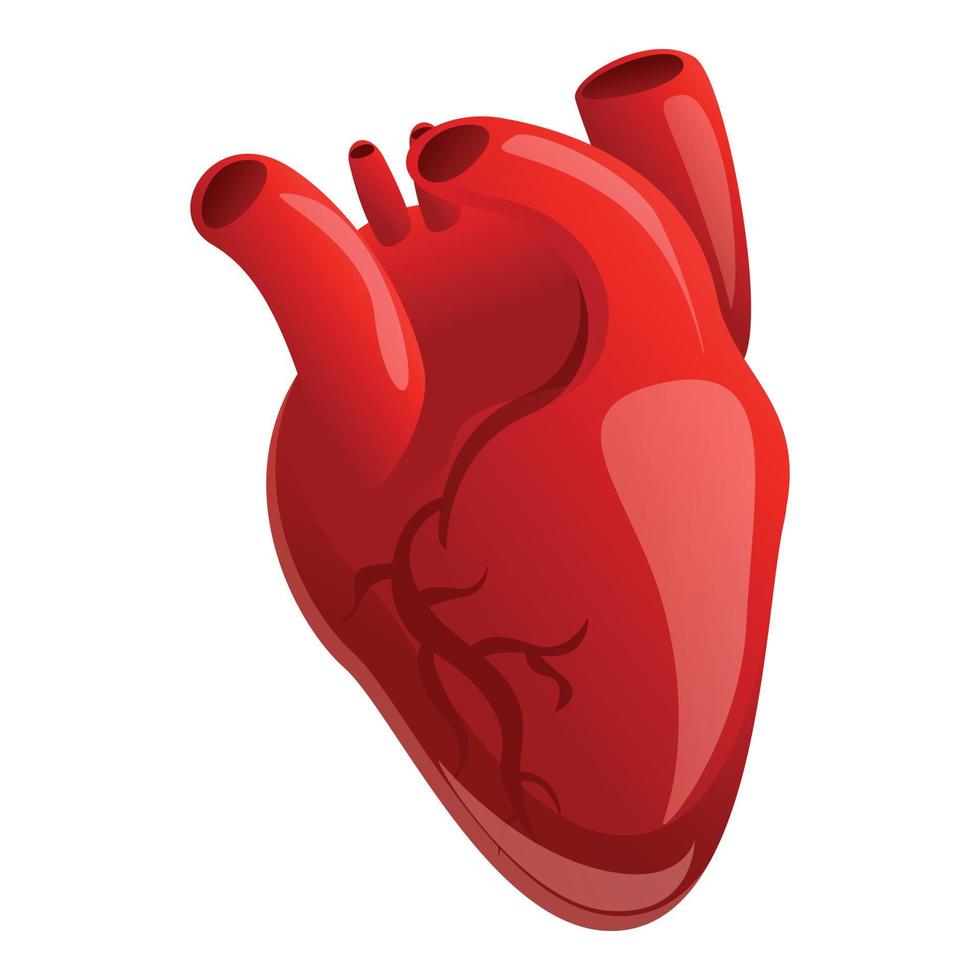 ícone de coração humano cardíaco, estilo cartoon vetor
