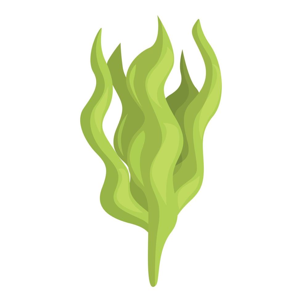 vetor de desenhos animados de ícone de algas marinhas. planta de alga
