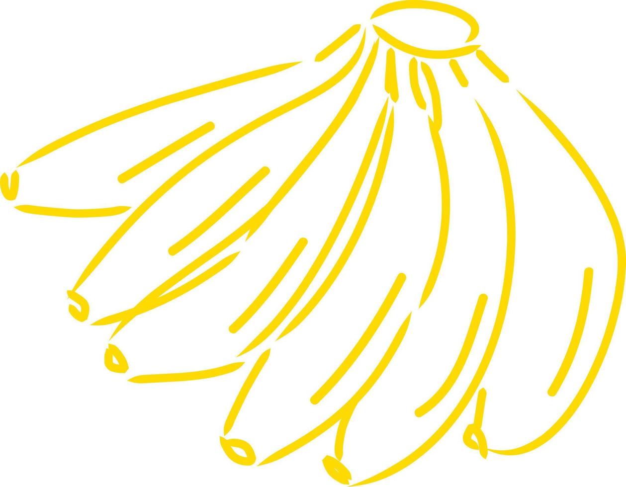 banana de frutas de estilo desenhado à mão vetor