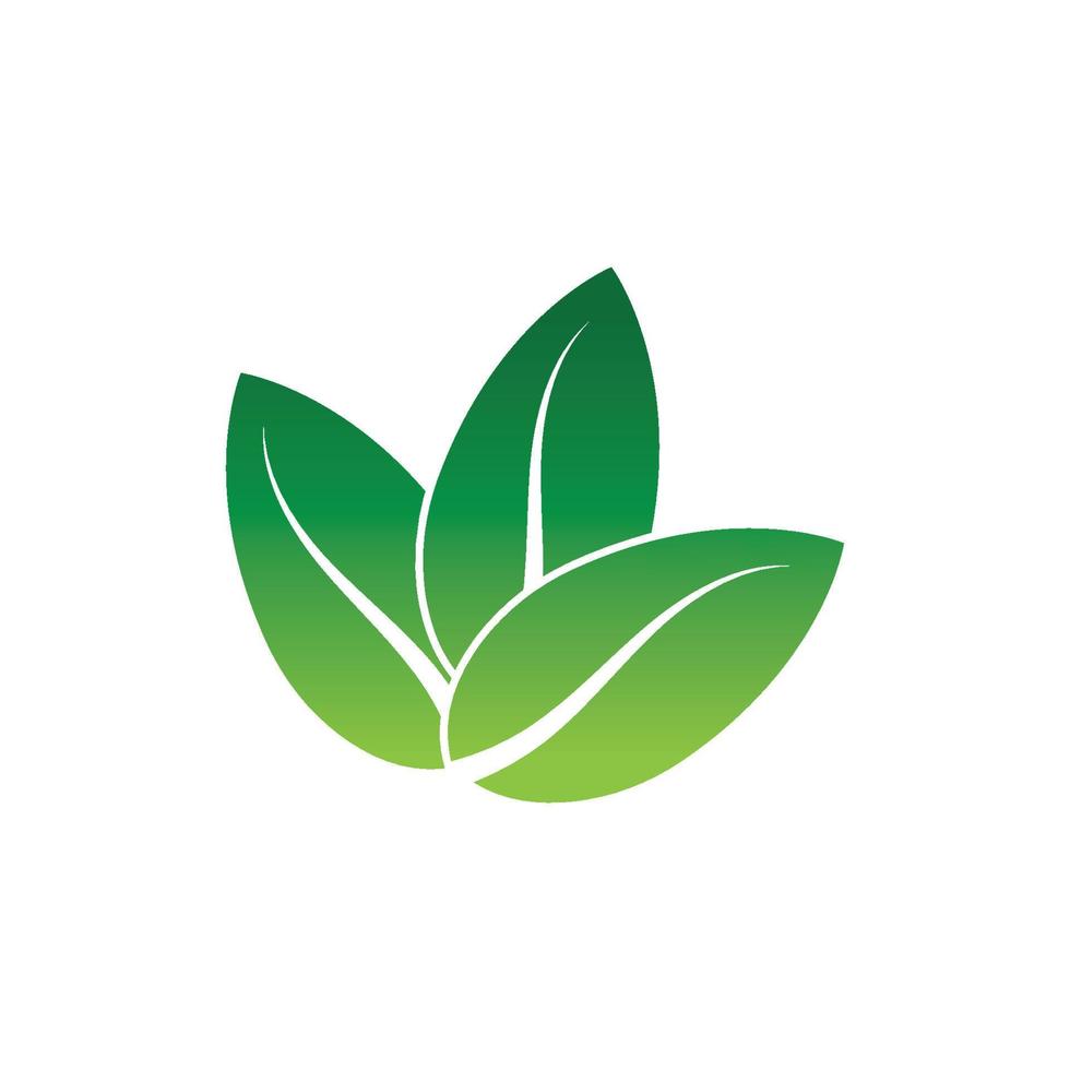 logotipos da ecologia de folhas verdes vetor