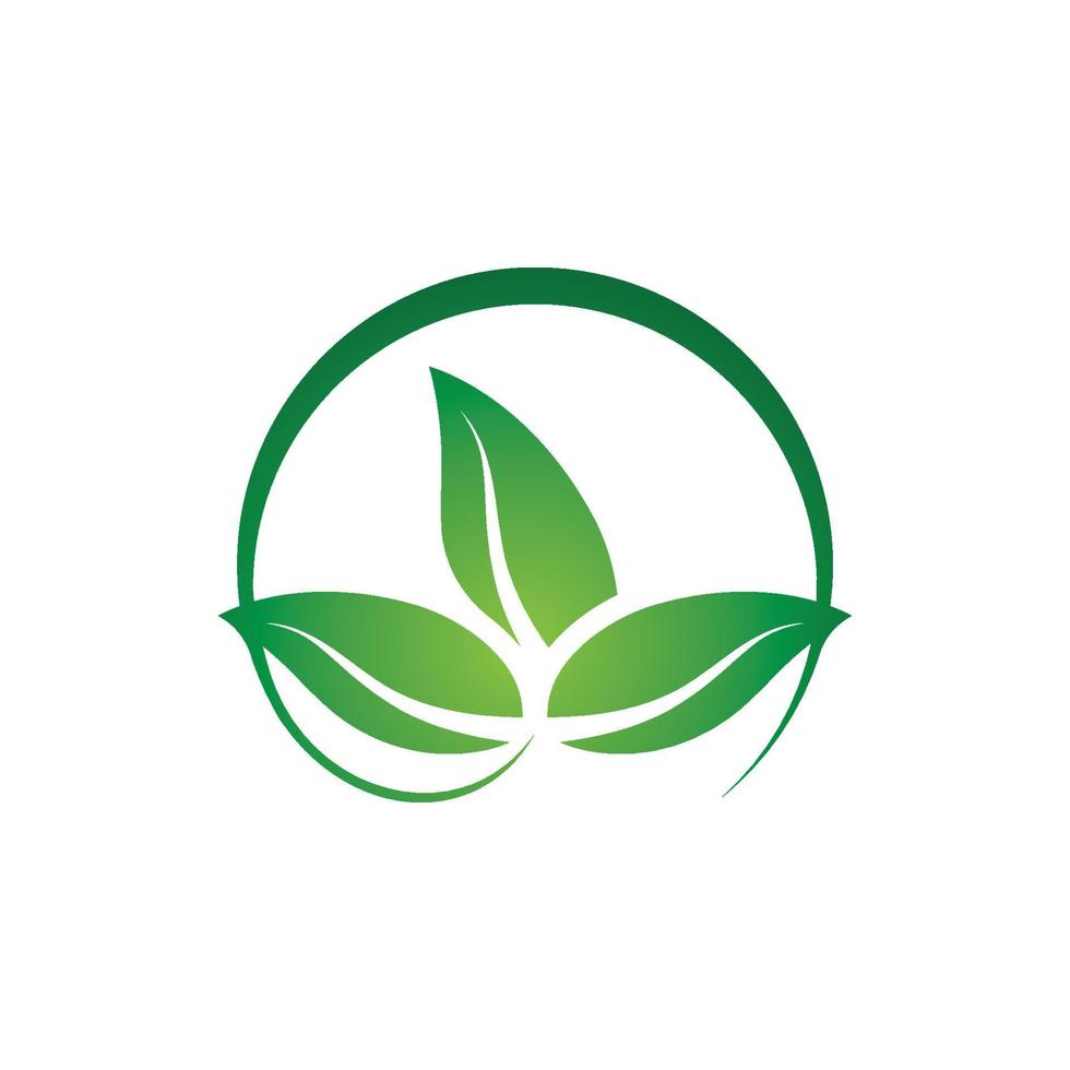 logotipos da ecologia de folhas verdes vetor