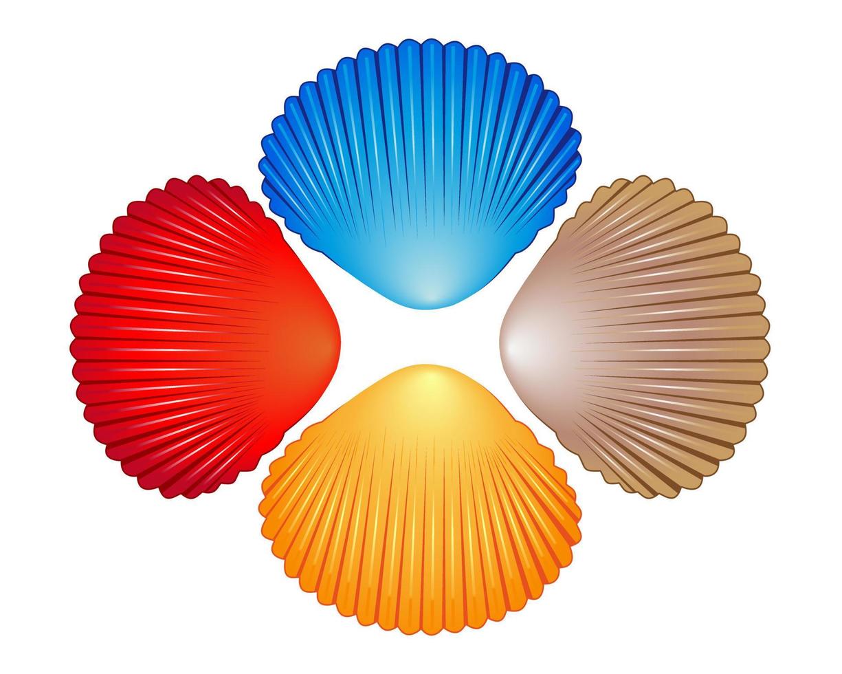 quatro conchas do mar de cores diferentes em um fundo branco vetor