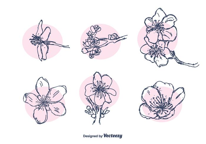 Flor de Pessegueiro Vector Set