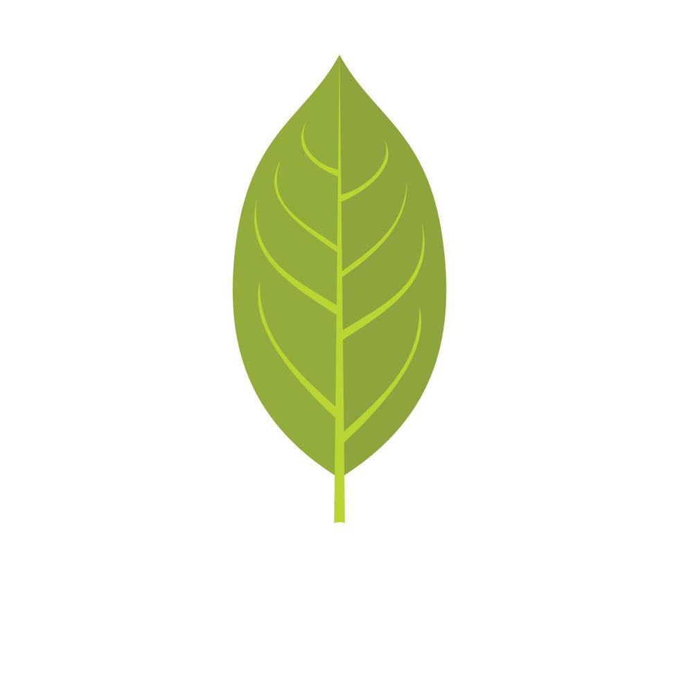ícone de folha de caqui, estilo simples vetor