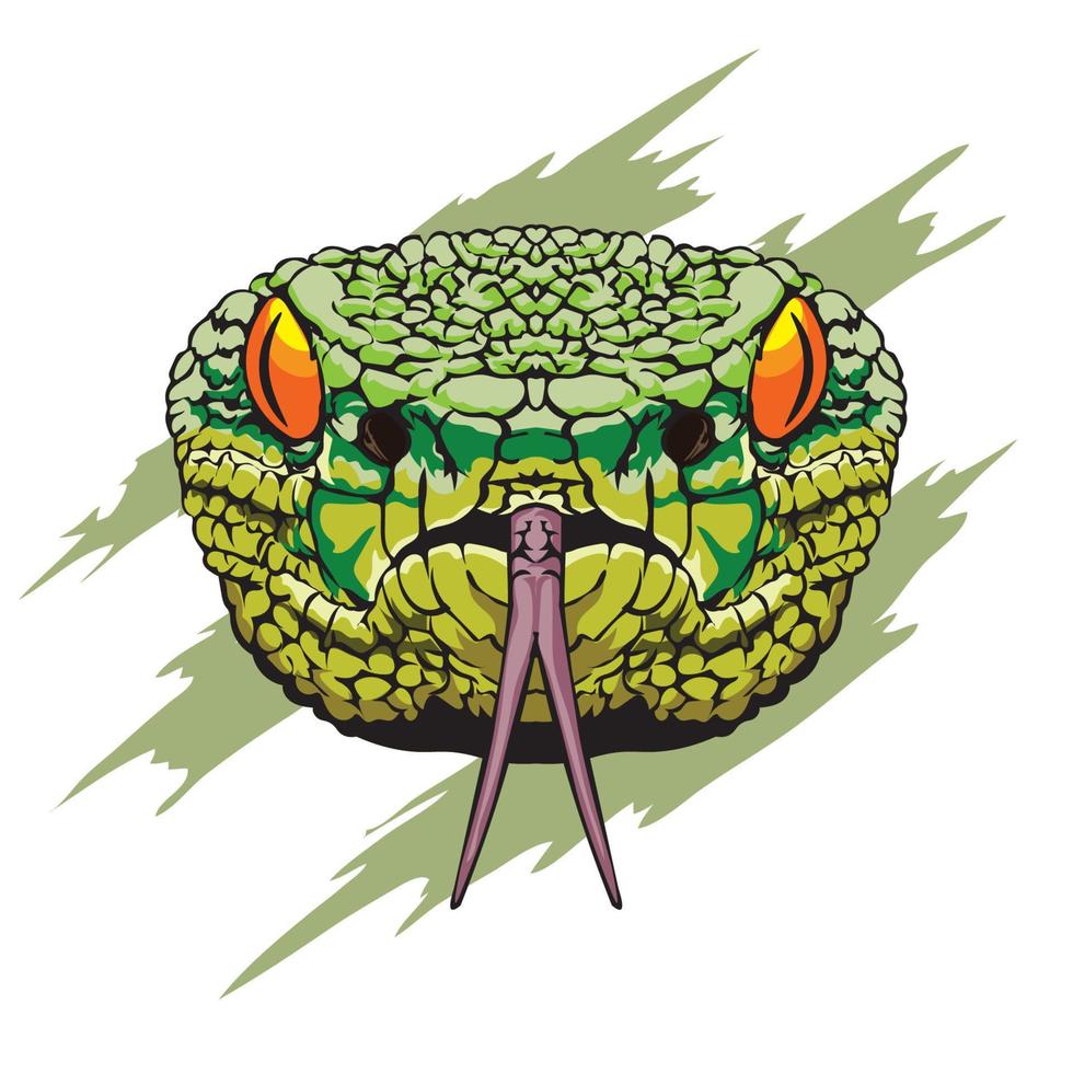 a ilustração vetorial da cabeça da cobra verde venenosa, boa para o logotipo da loja de répteis, design de camisetas e logotipo do clube de amantes de répteis vetor