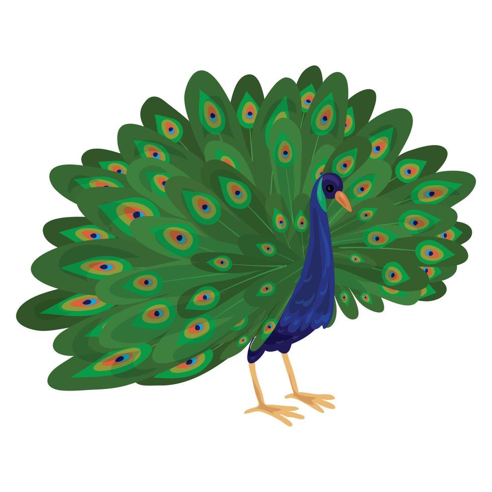 ícone de pavão, estilo cartoon vetor