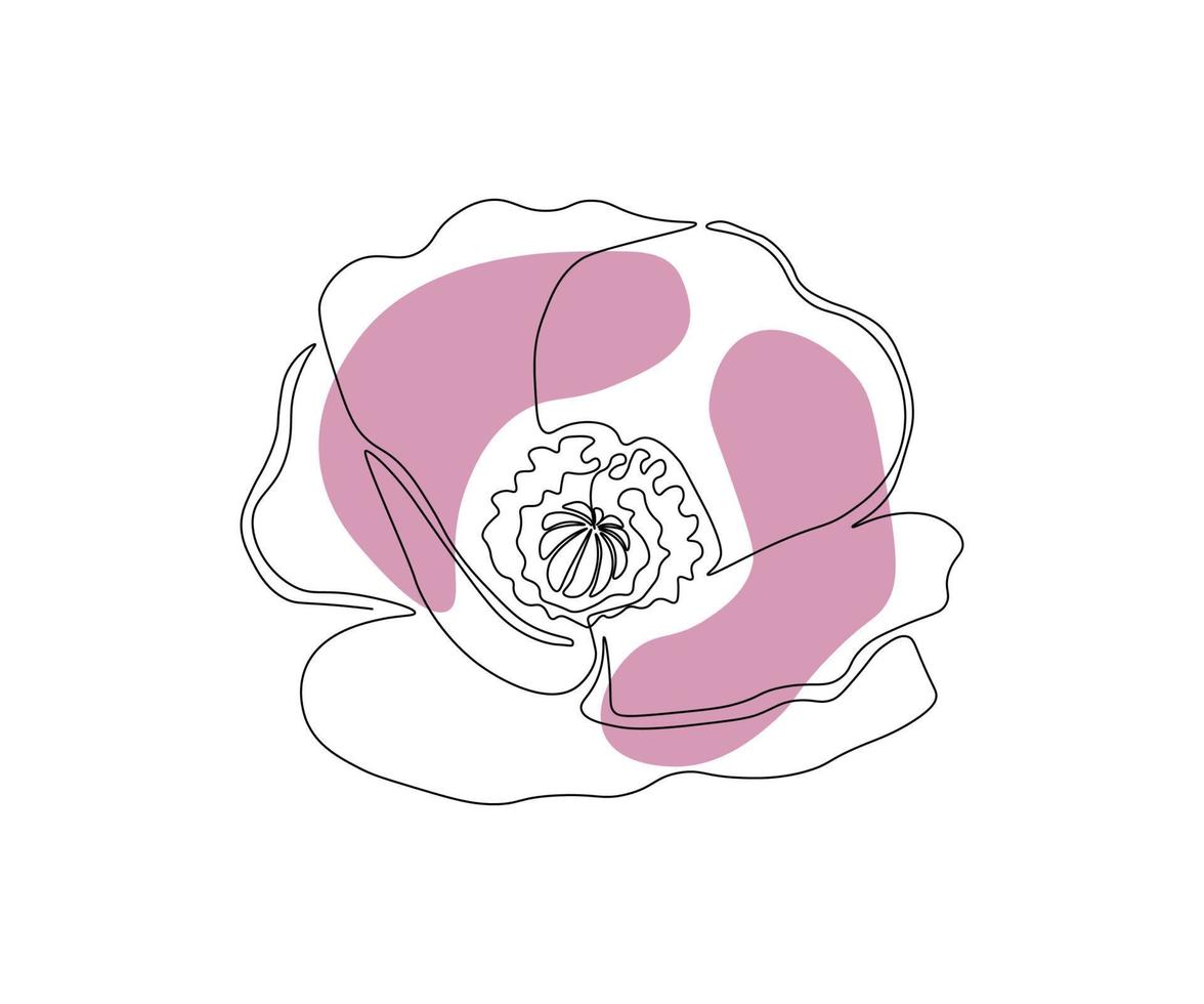 a flor de papoula é desenhada à mão em estilo minimalista, na técnica de uma única linha, uma monolinha. símbolo de cosméticos, logotipo de salão de beleza vetor