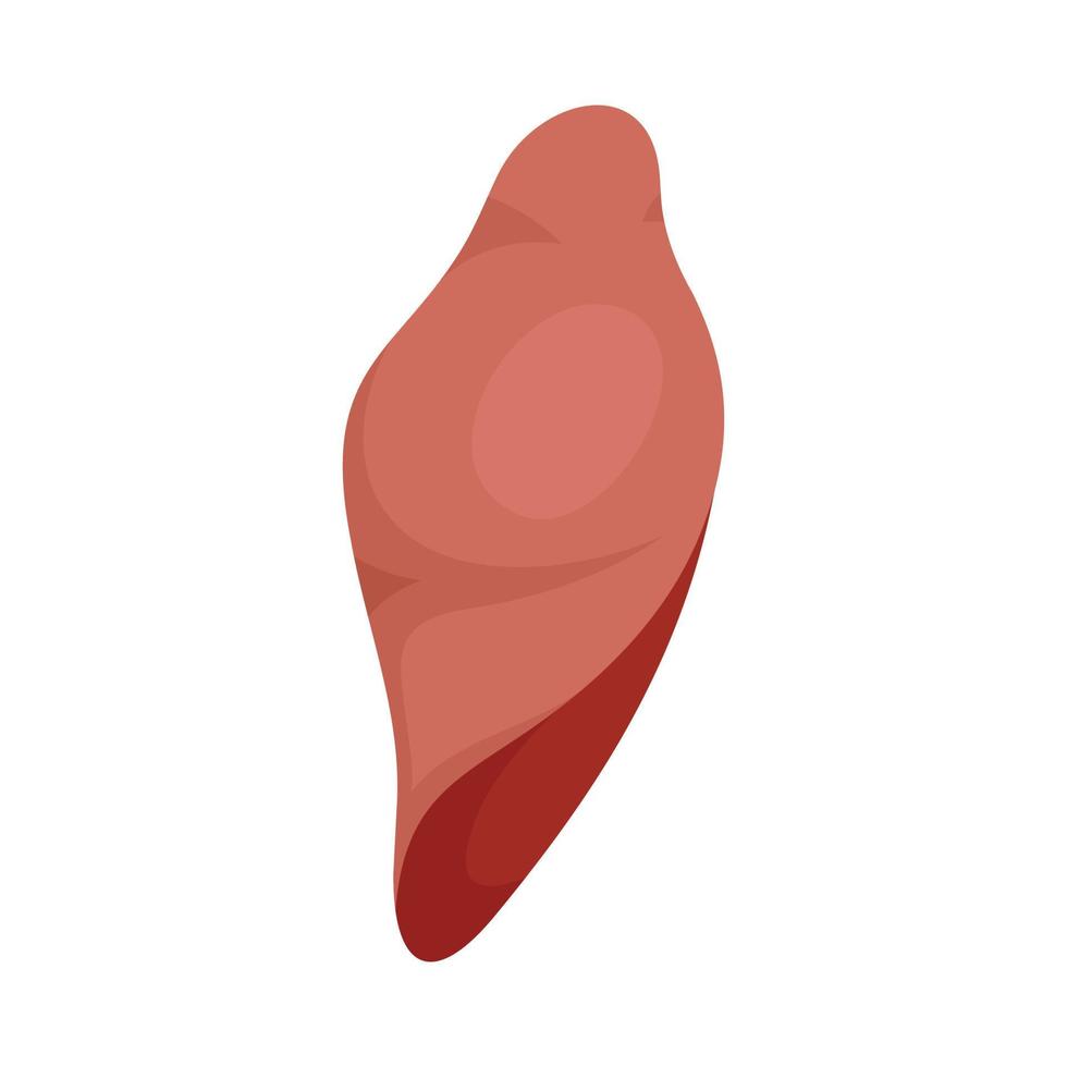 ícone de fígado, estilo simples vetor