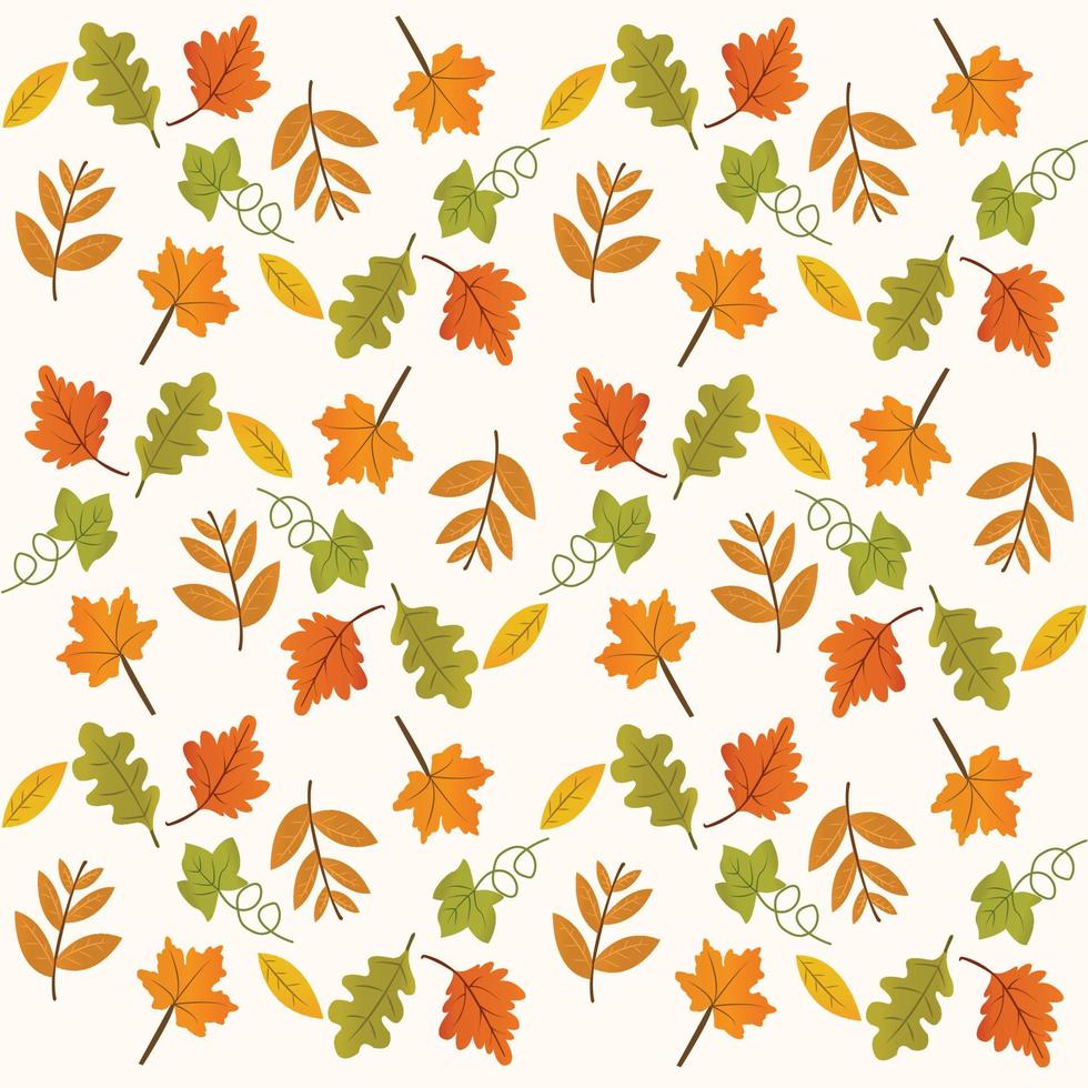 padrão de folhas de outono vetor