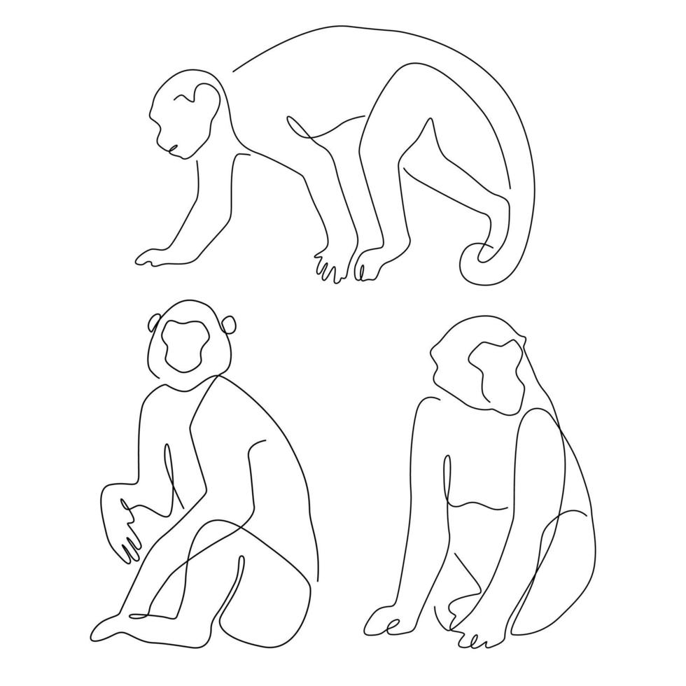 vetor minimalismo moderno de ilustração de desenho de arte de linha de macaco animal