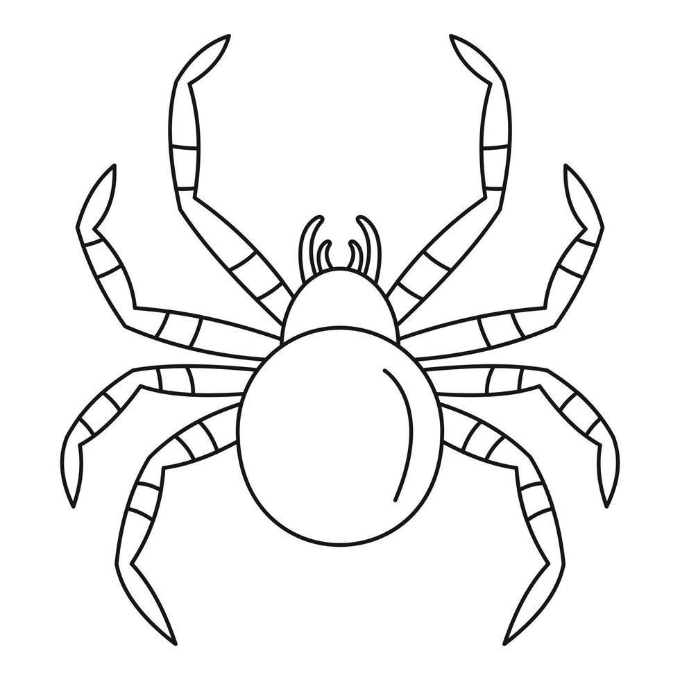 ícone de aranha tarantum, estilo de estrutura de tópicos vetor