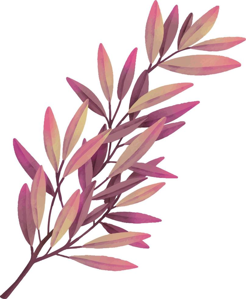 ramos de folhas em aquarela. ilustração de aquarela desenhada de mão vetor
