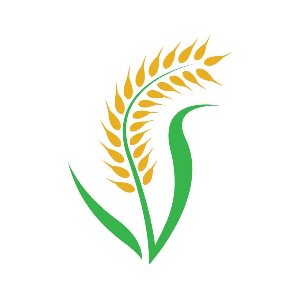 imagens do logotipo da wheat vetor