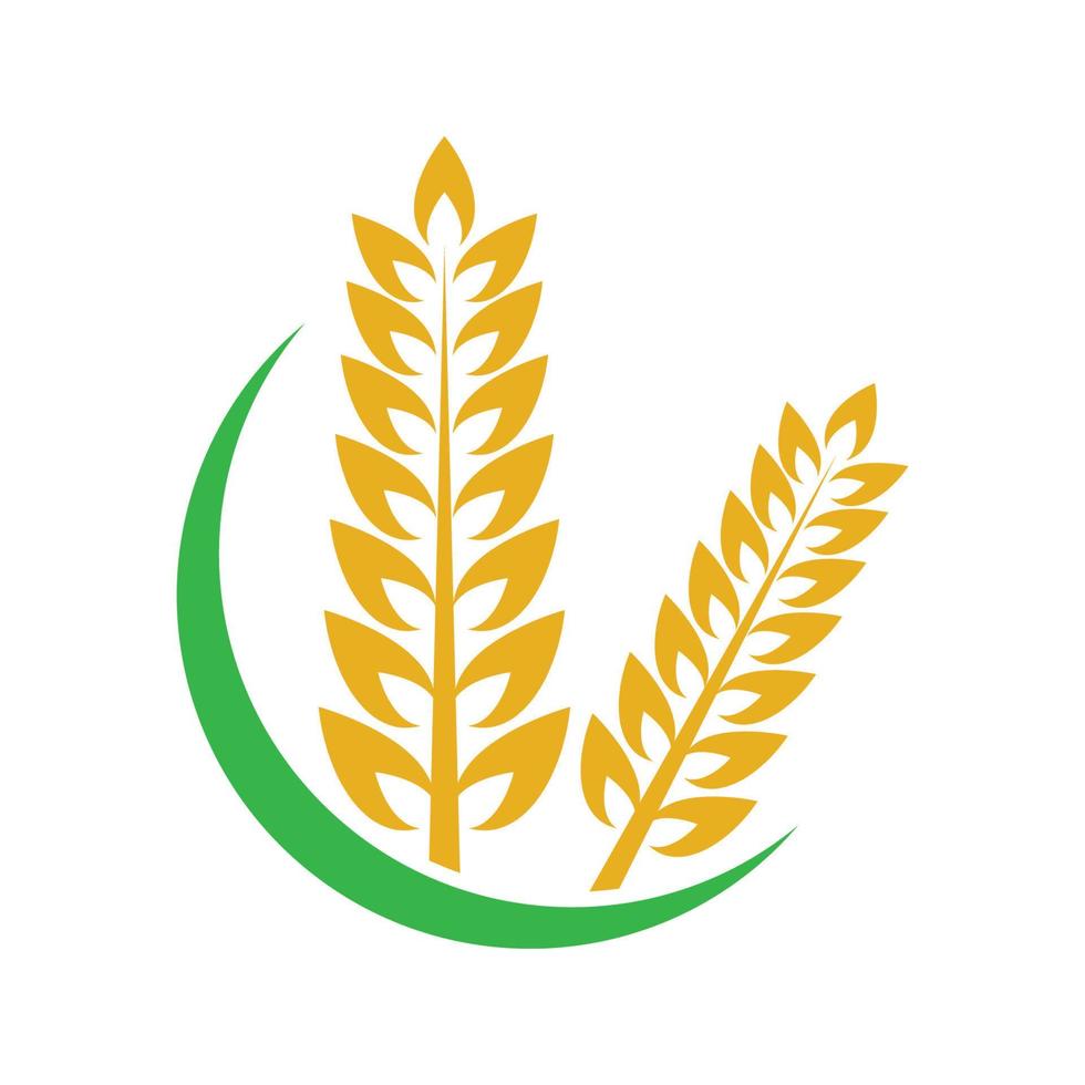 imagens do logotipo da wheat vetor