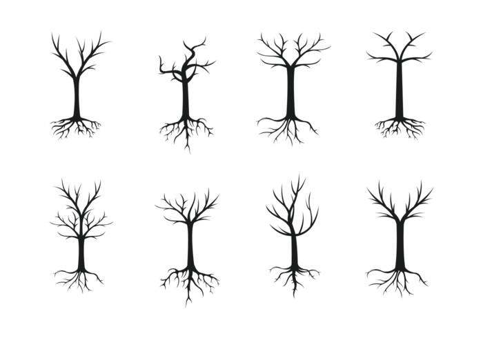 Árvore Com Vector Raízes da silhueta