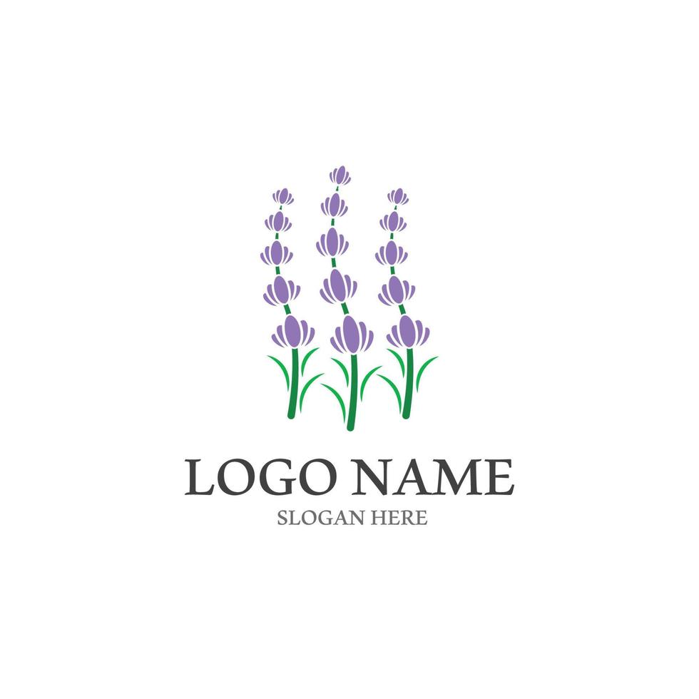 vetor de logotipo de ícone de flor de lavanda fresca