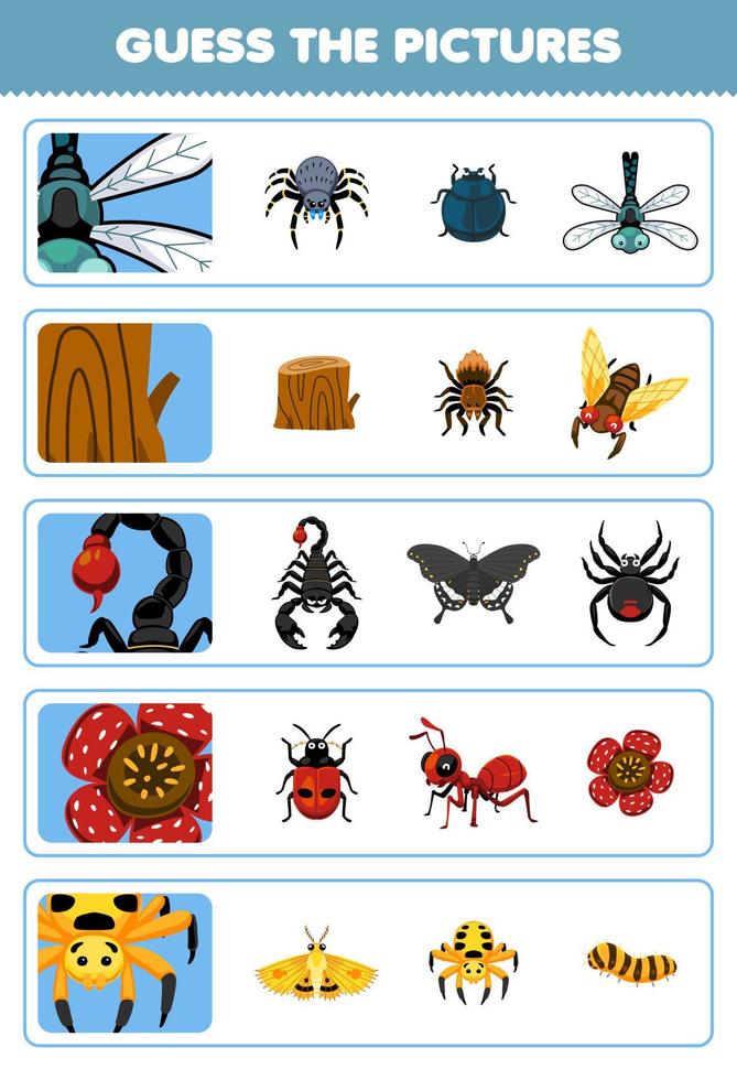 jogo educacional para crianças, adivinhe as imagens corretas de desenhos animados fofos, libélula, tronco de madeira, escorpião, flor, aranha, folha de trabalho para impressão de insetos vetor