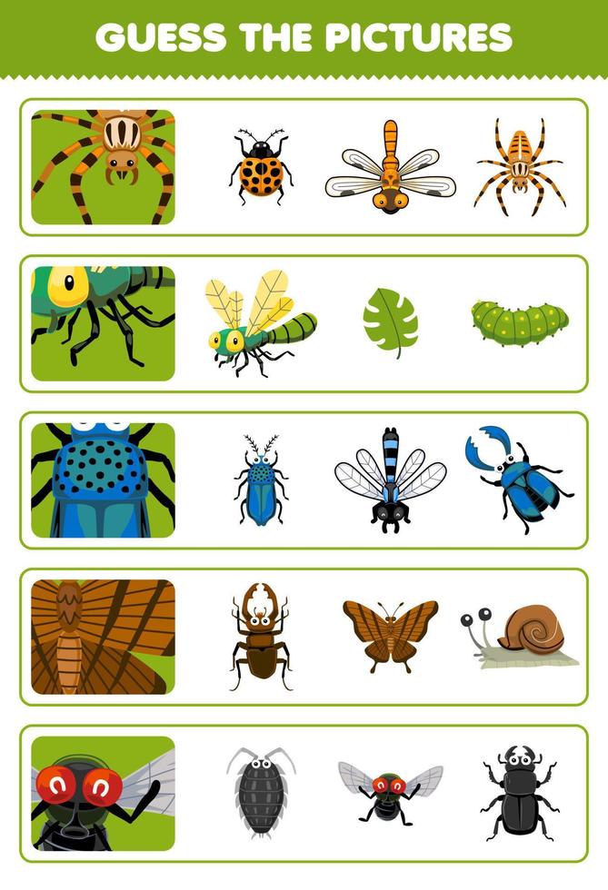 jogo educacional para crianças, adivinhe as imagens corretas de desenhos animados fofos, aranha, libélula, besouro, borboleta, mosca, planilha de bugs para impressão vetor