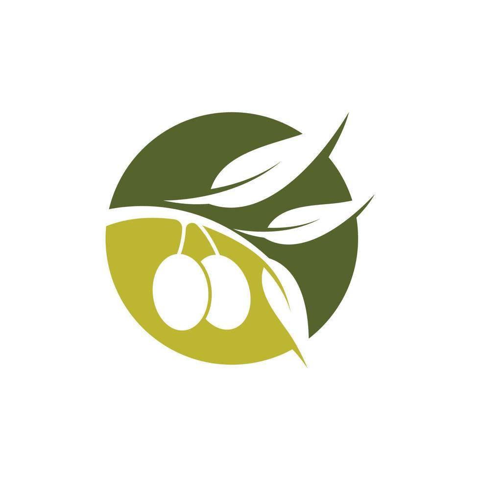 ilustração das imagens do logotipo da oliveira vetor