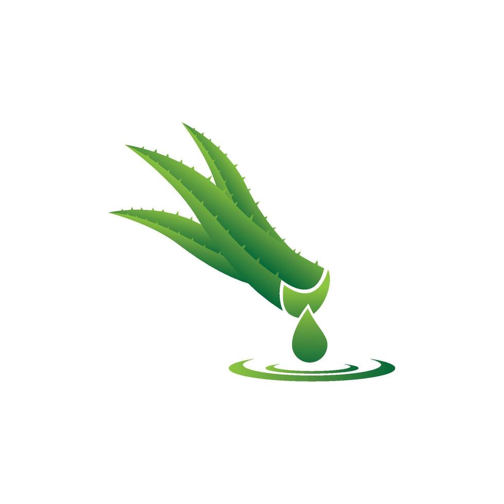 ilustração de imagens de logotipo de ervas cosméticas de aloe vera vetor